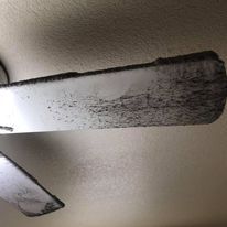 Fan blade dusting